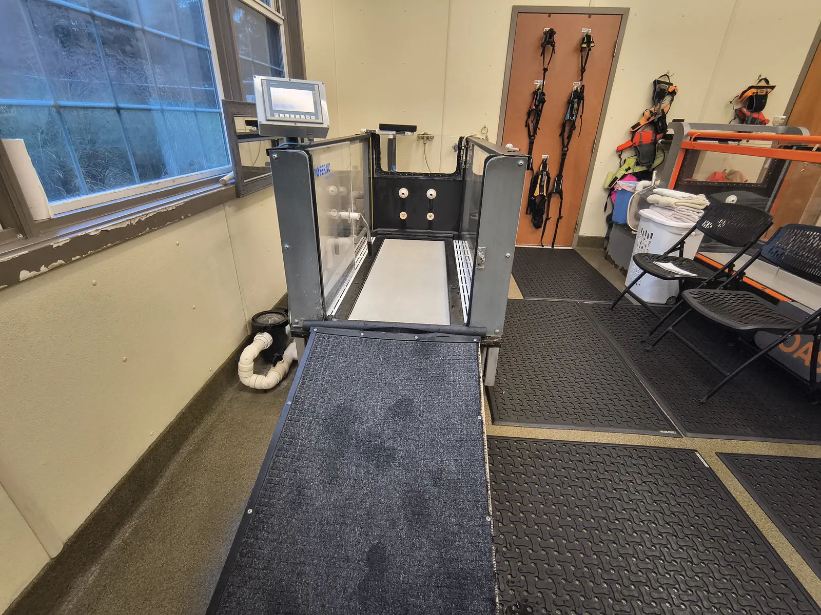 Aquapaws underwater treadmill at Animal Therapy Center