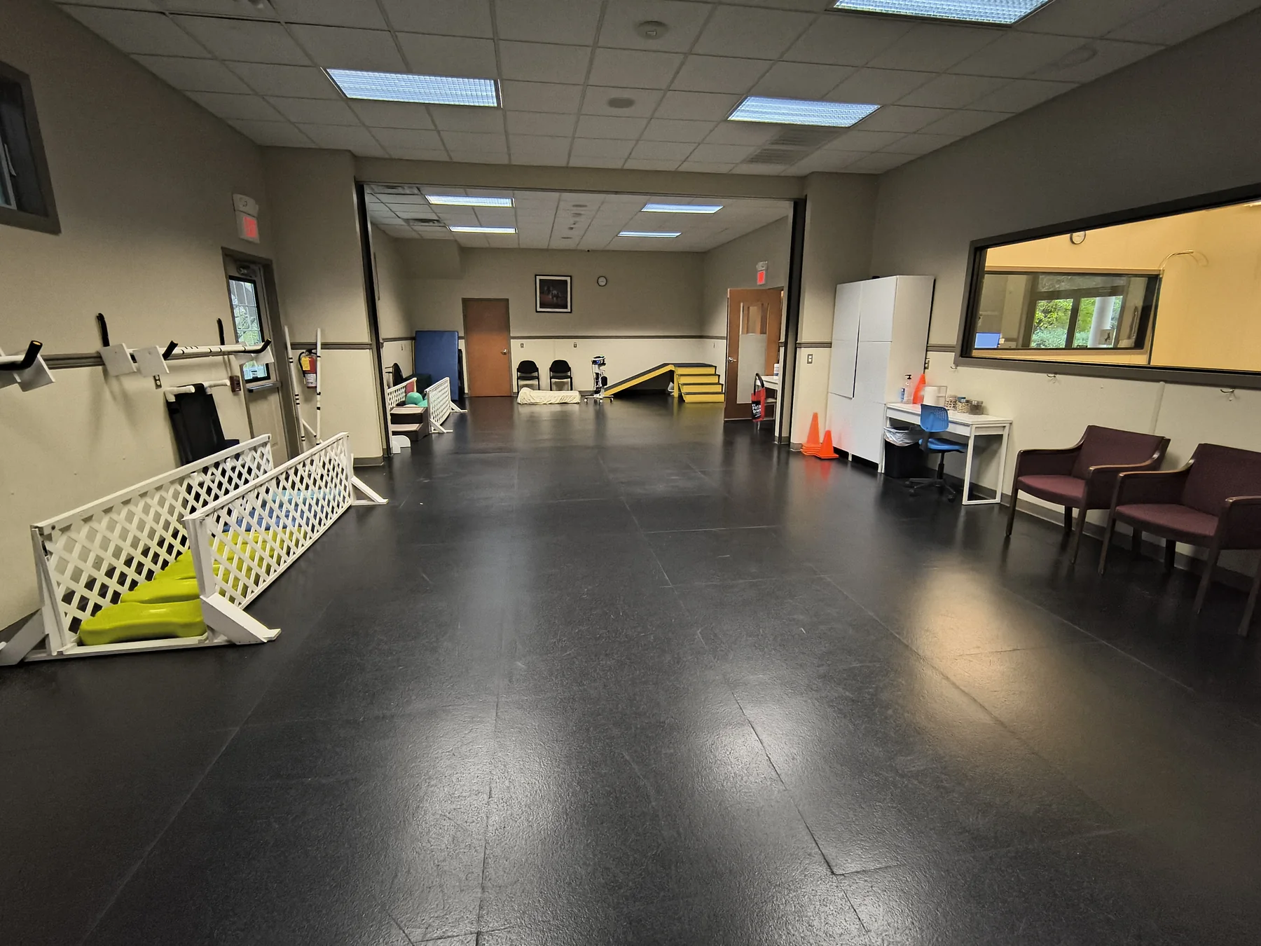 Large gym at Animal Therapy Center