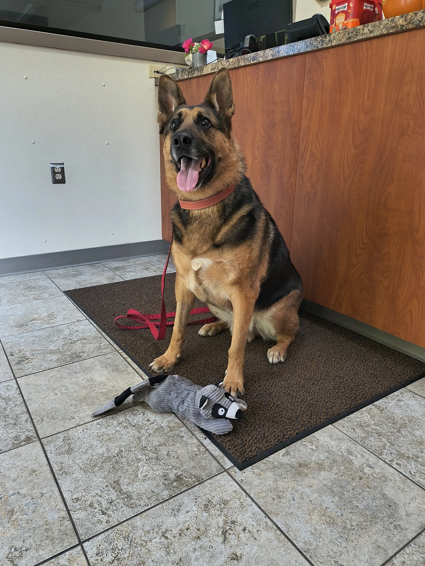 Caron with his favorite stuffed raccoon at therapy