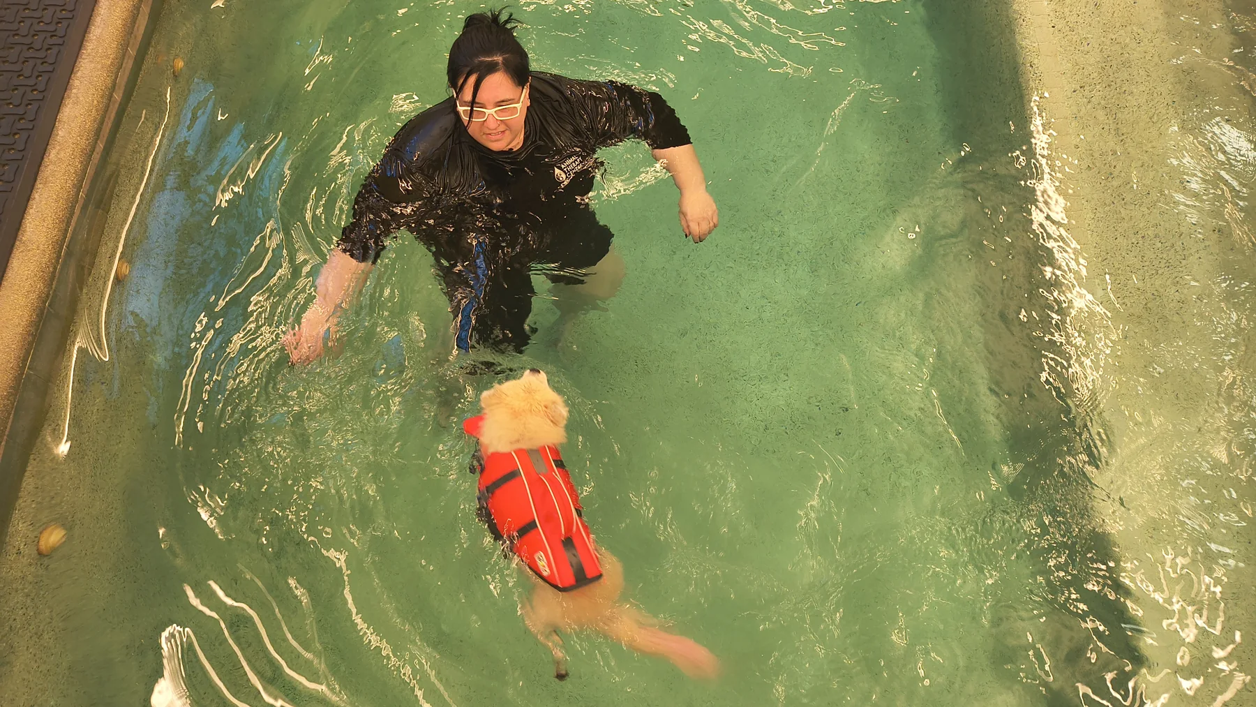 Fee swimming in the Animal Therapy Center pool